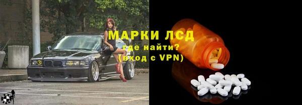индика Аркадак