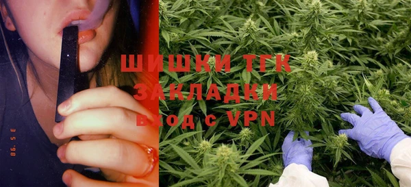 индика Аркадак