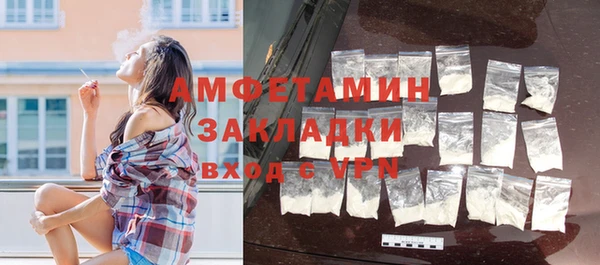 индика Аркадак