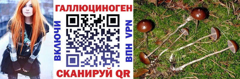 Галлюциногенные грибы мухоморы мега ССЫЛКА Чебаркуль